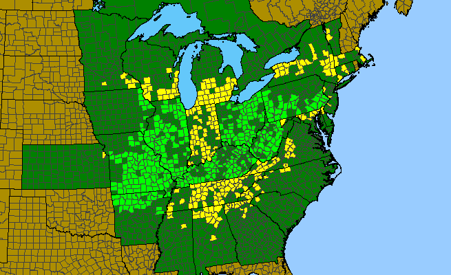 The range of Hydrastis canadensis